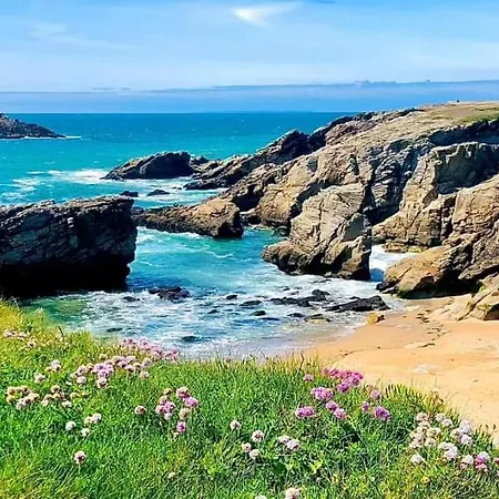 Appartement Cocon A Quiberon Dans Residence Calme, Plages Et Centre Ville A Pied Ou A Velo Pour 2 A 4 Personnes Exterior photo