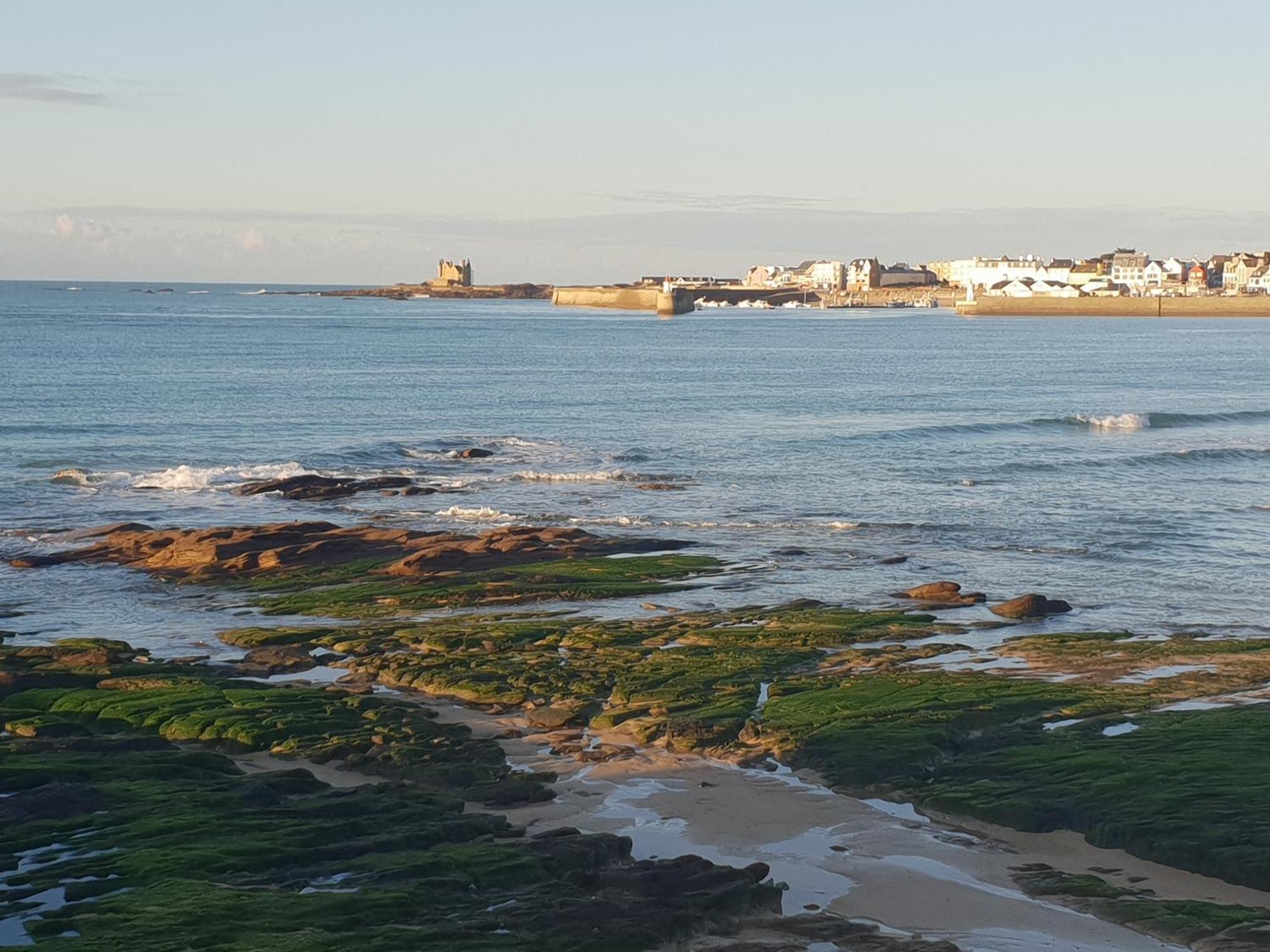 Cocon A Dans Calme, Plages Et Centre A Pied Ou A Velo Pour 2 A 4 Personnes Apartment *